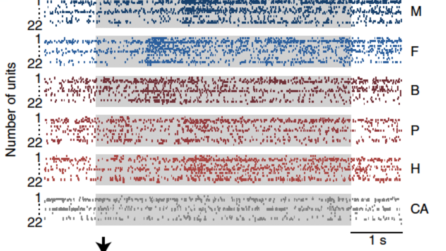 Image of graph
