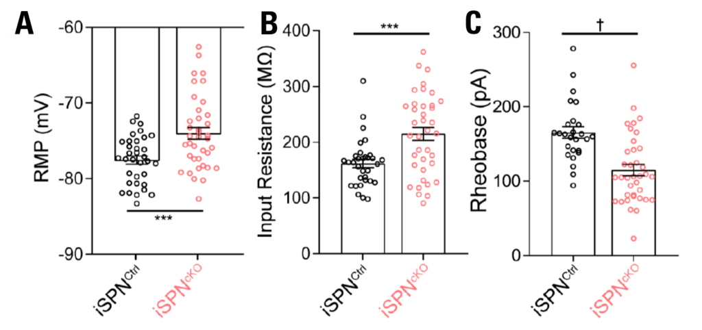 Image of three graphs