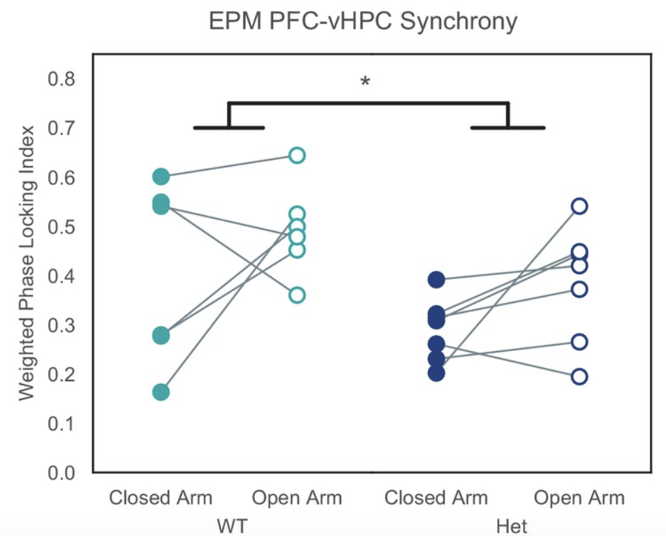 Scatter plot showing Weighted Phase Locking Index for WT and Het in Closed Arm and Open Arm conditions. WT shows higher index in Open Arm; Het has similar values across conditions. Asterisk indicates significant difference.