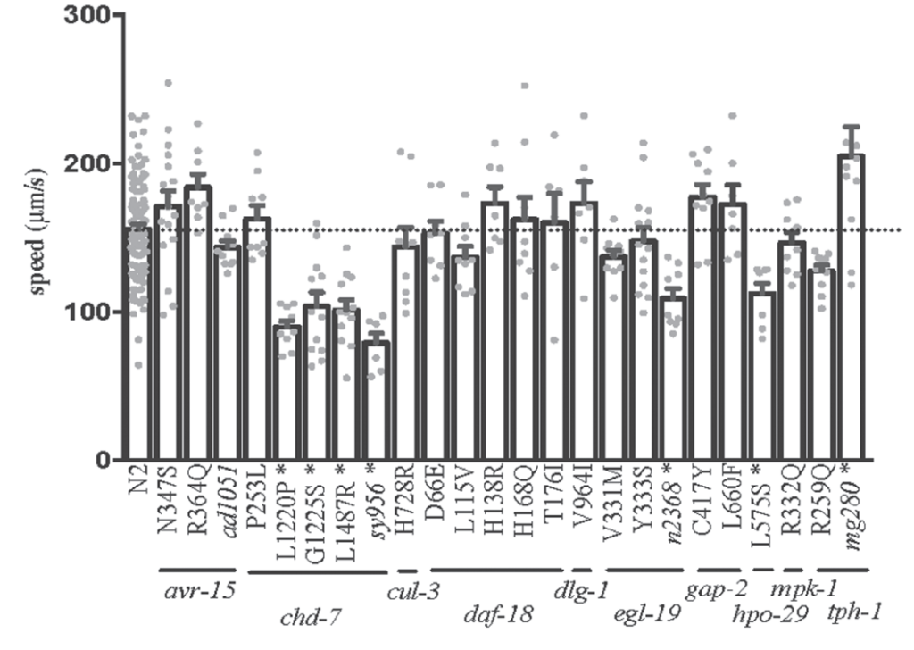 Bar graph displaying speeds (µm/s) of various genotypes with data points overlaid. N2 is the control; other bars represent different mutations. Error bars and a dotted horizontal reference line are present.