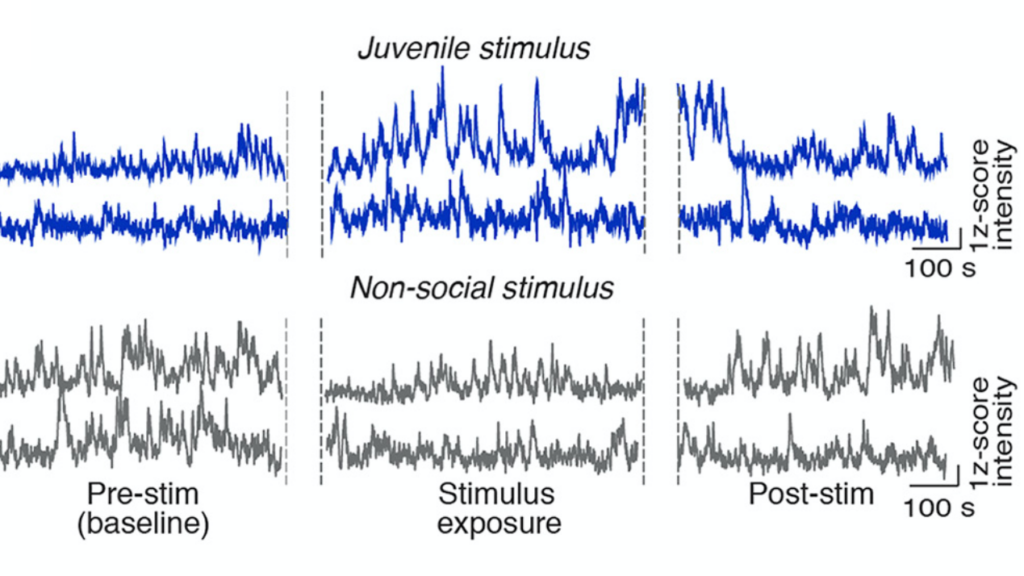 Image of graphs