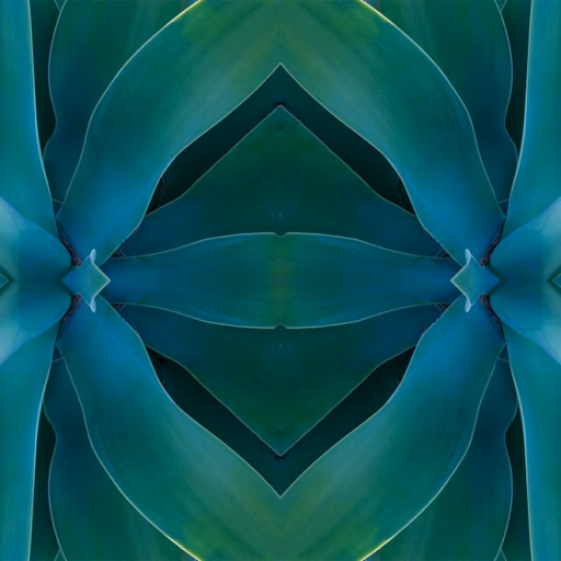 Close-up of green and blue succulent leaves arranged in a symmetrical, kaleidoscopic pattern, creating a mirrored and abstract geometric design.