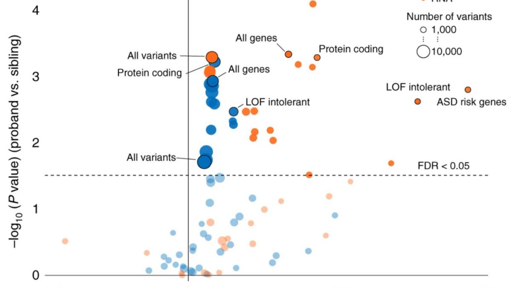 Scatter plot showing effect size vs -log10(P value) for DNA (blue) and RNA (orange) variants in various gene sets, with point sizes indicating number of variants. Dotted line marks FDR < 0.05. Labels indicate key gene groups.