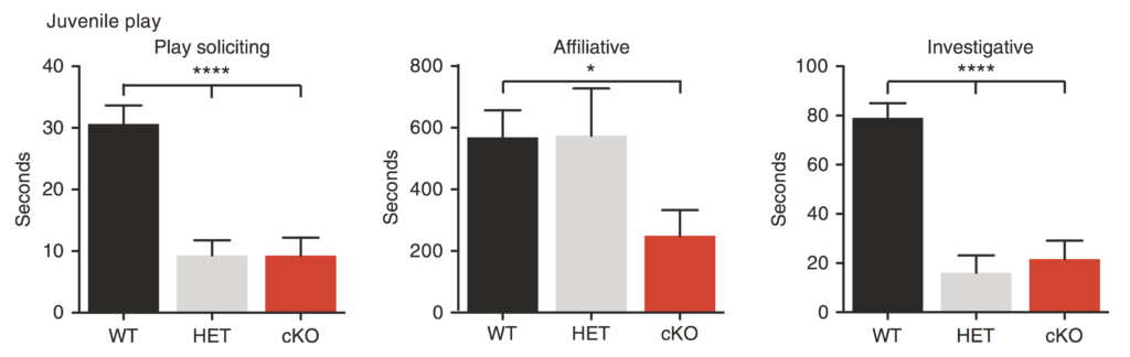 Bar graphs showing WT mice spend more time in play soliciting, affiliative, and investigative juvenile play behaviors compared to HET and cKO mice. Statistically significant differences are indicated by asterisks.