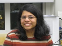 Portrait of SFARI Investigator Abhi Gupta.
