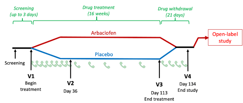 A study timeline showing screening, drug treatment, and drug withdrawal phases, with participants receiving either arbaclofen or placebo, ending in an open-label study. Key visits are marked as V1, V2, V3, and V4.