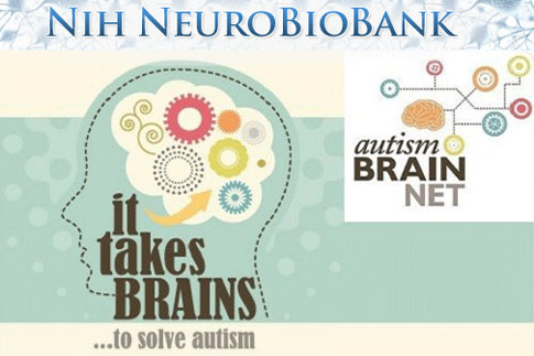 Graphic with a head silhouette filled with gears, text reads It takes BRAINS to solve autism, and logos for NIH NeuroBioBank and Autism BrainNet.