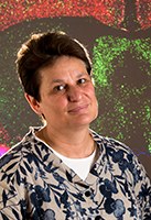 Headshot of SFARI Investigator Catherine Dulac.