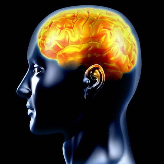 A digital illustration of a human head in profile with a brightly colored brain highlighted in yellow and orange, showing internal brain anatomy on a black background.