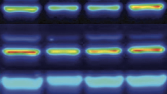 Colorful heatmap-style image showing three rows of horizontal bands, each band shifting in color from blue to green to yellow to red, indicating differences in intensity or temperature across the bands.