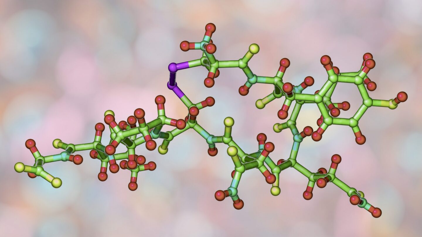 Molecule of oxytocin, a hormone released from the neurohypophysis