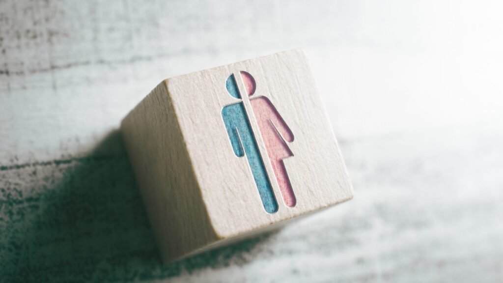 A wooden block with a split symbol: half blue male figure on the left and half pink female figure on the right, representing gender or gender diversity.
