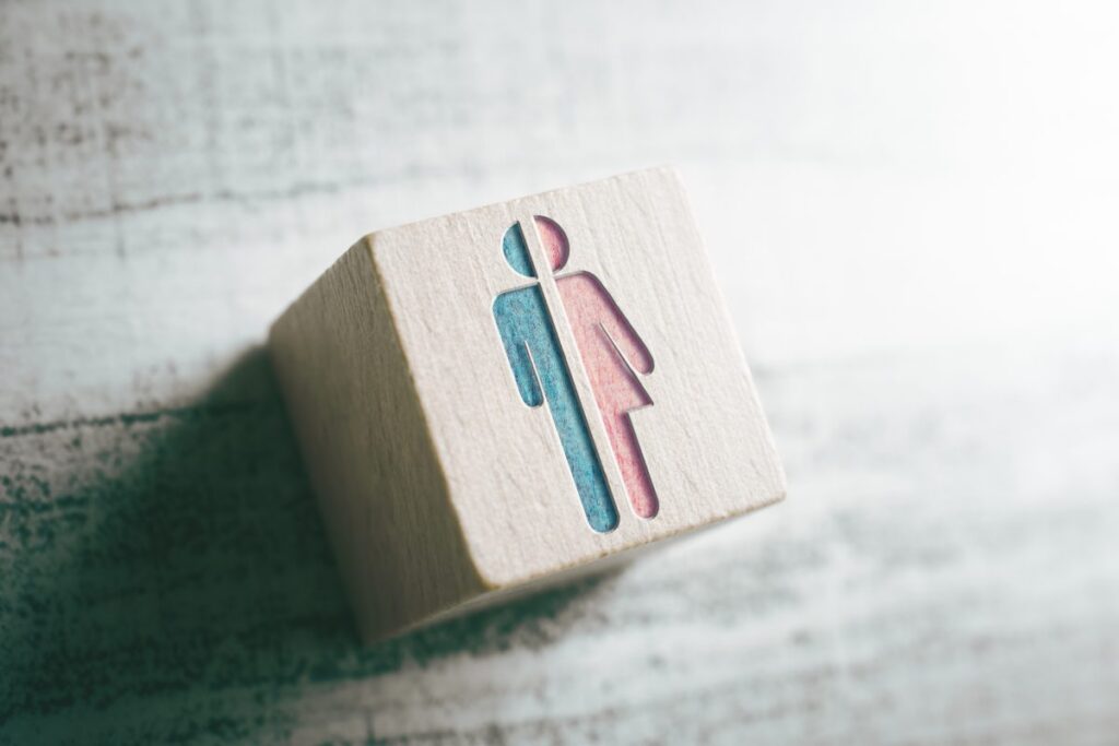 A wooden block with a split symbol: half blue male figure on the left and half pink female figure on the right, representing gender or gender diversity.