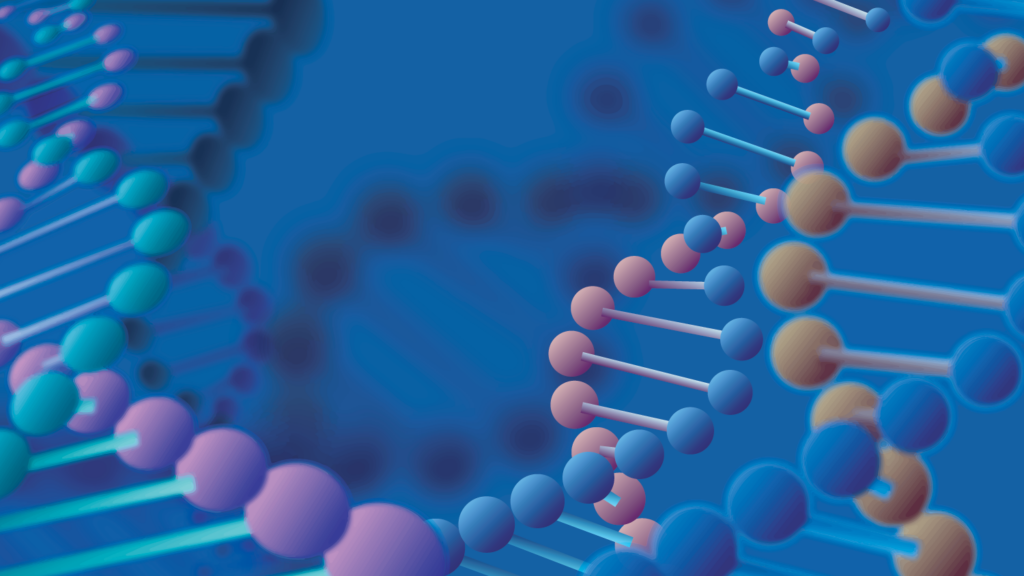 DNA strands