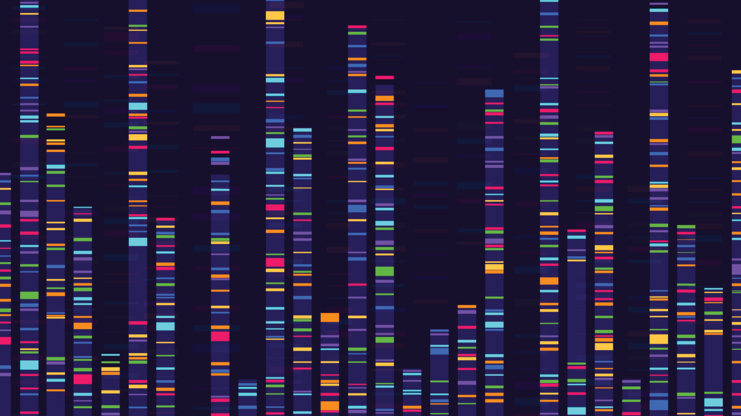 Gene-like graph