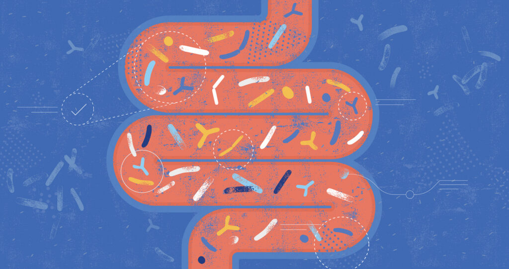 Gut Microbiota Probiotics Concept