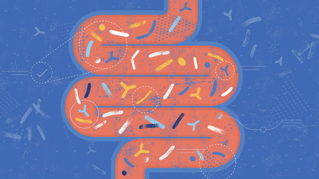 Gut Microbiota Probiotics Concept