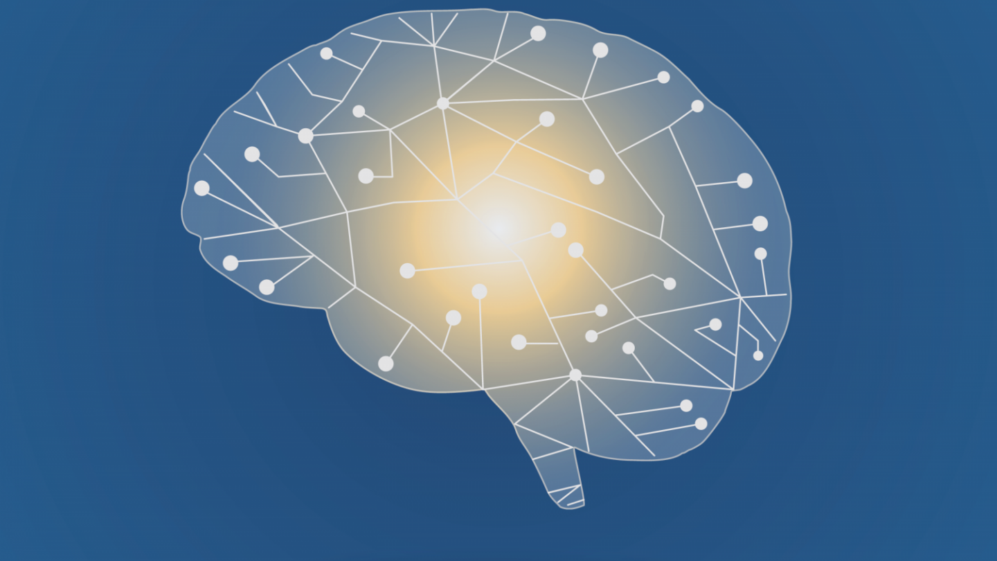 Image of stylized brain