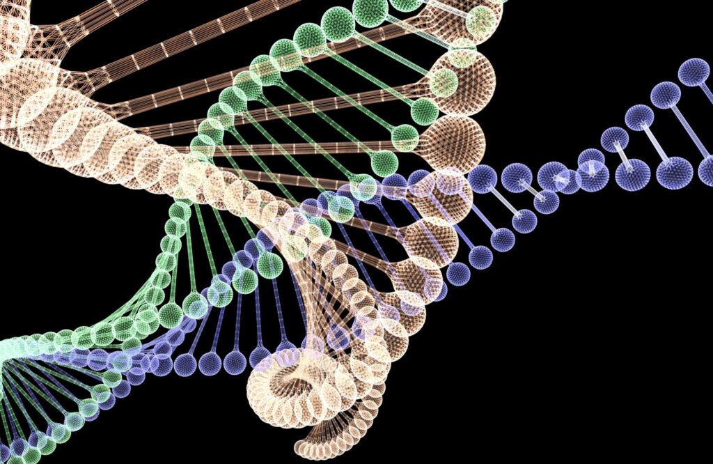 Image of DNA spirals
