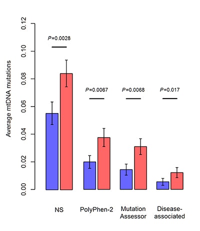 Bar graph comparing average mtDNA mutations in four groups, shown as blue and red bars with error bars. Red bars are higher in each group. P-values above groups indicate statistical significance. Y-axis ranges from 0 to 0.12.