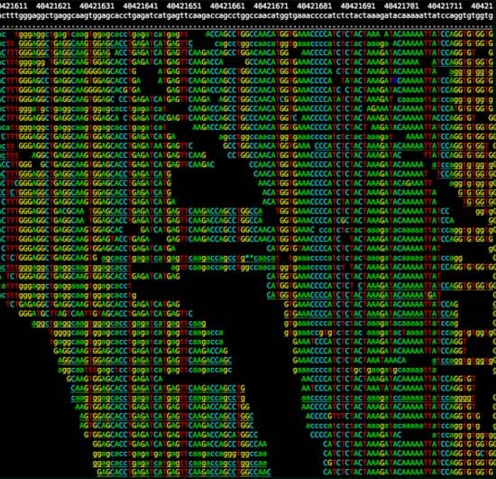 Rows of colored DNA base sequences (A, T, C, G) form an image resembling a persons face in profile, with black and colored text areas creating contrast and details.