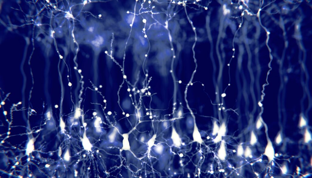 Abstract illustration of glowing neuron cells with long, branching dendrites and axons on a dark blue background, representing neural connections in the brain.
