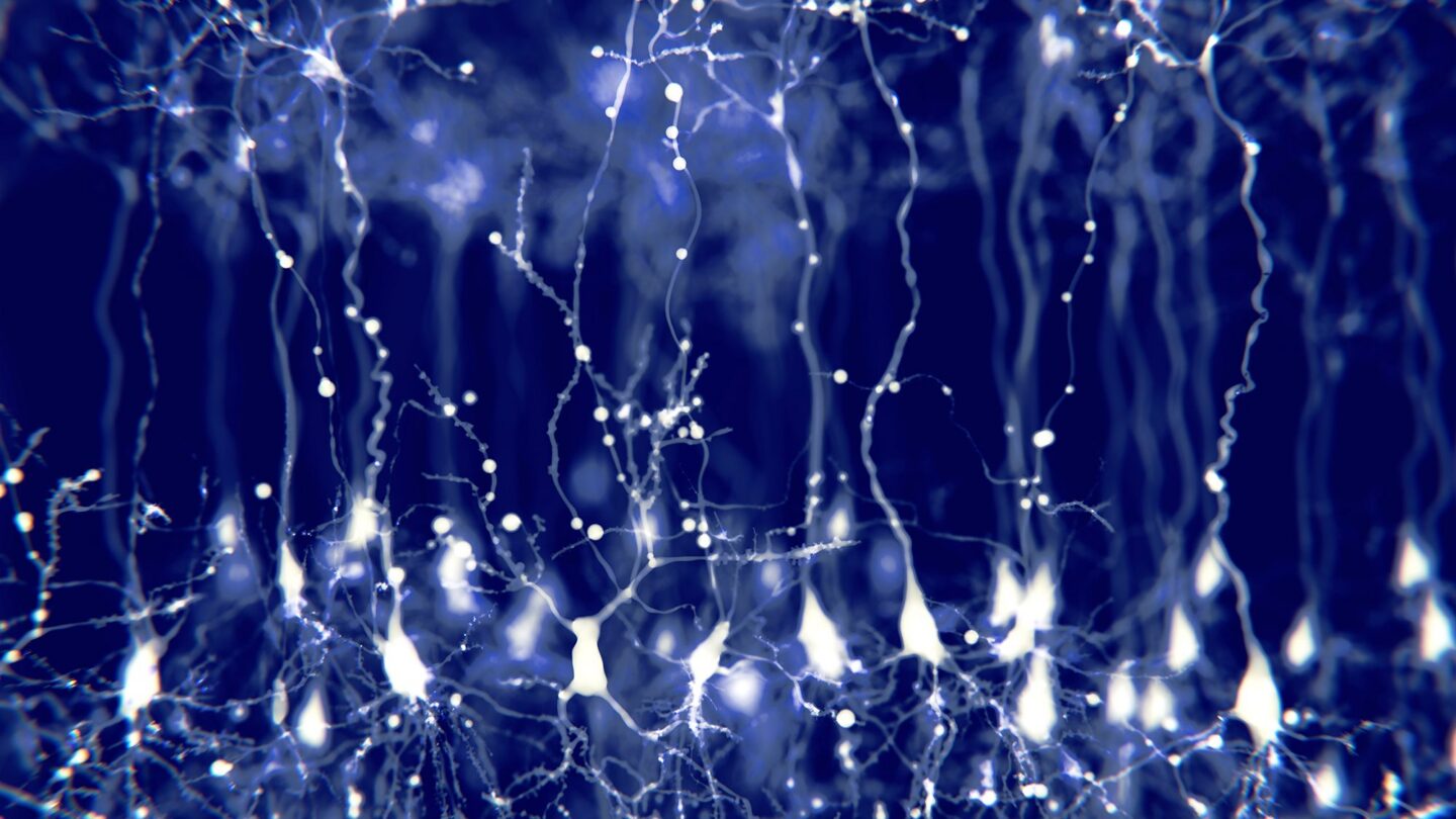 Abstract illustration of glowing neuron cells with long, branching dendrites and axons on a dark blue background, representing neural connections in the brain.