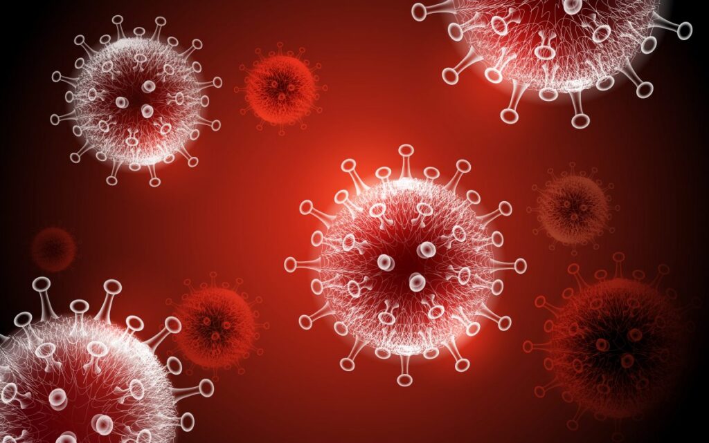 Image of COVID-19 virus