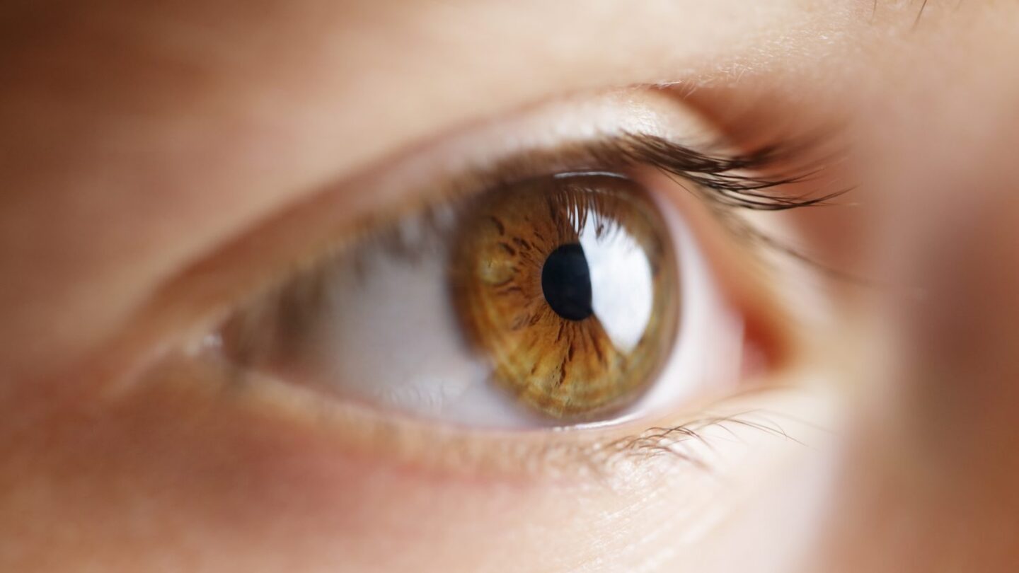 Image of eye