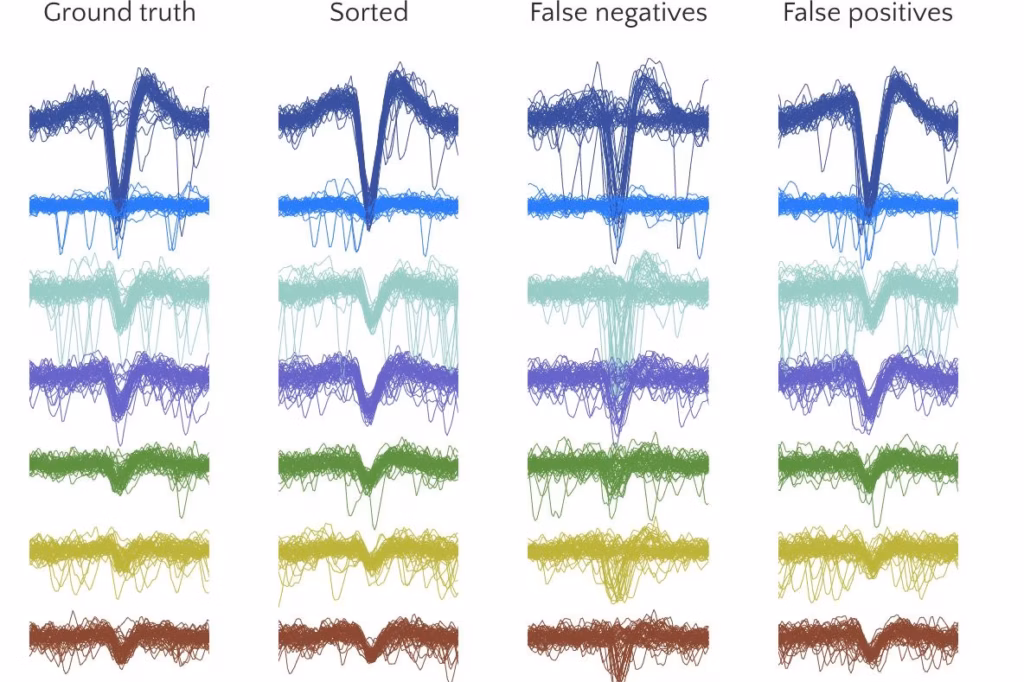 Four columns of overlapping colored waveform plots labeled: Ground truth, Sorted, False negatives, False positives. Each row uses a different color, displaying waveform clustering and classification results.