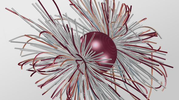 Biophysical model