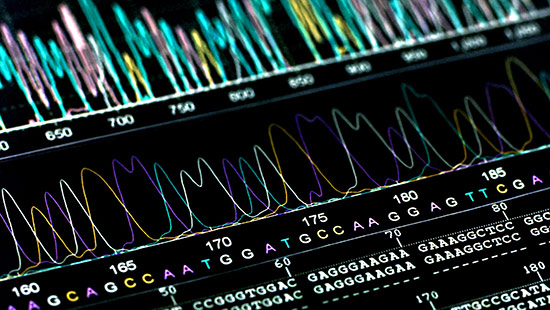 Colorful DNA sequencing chromatogram showing overlapping peaks and corresponding DNA base letters (A, T, C, G) on a black background, representing genetic data analysis.