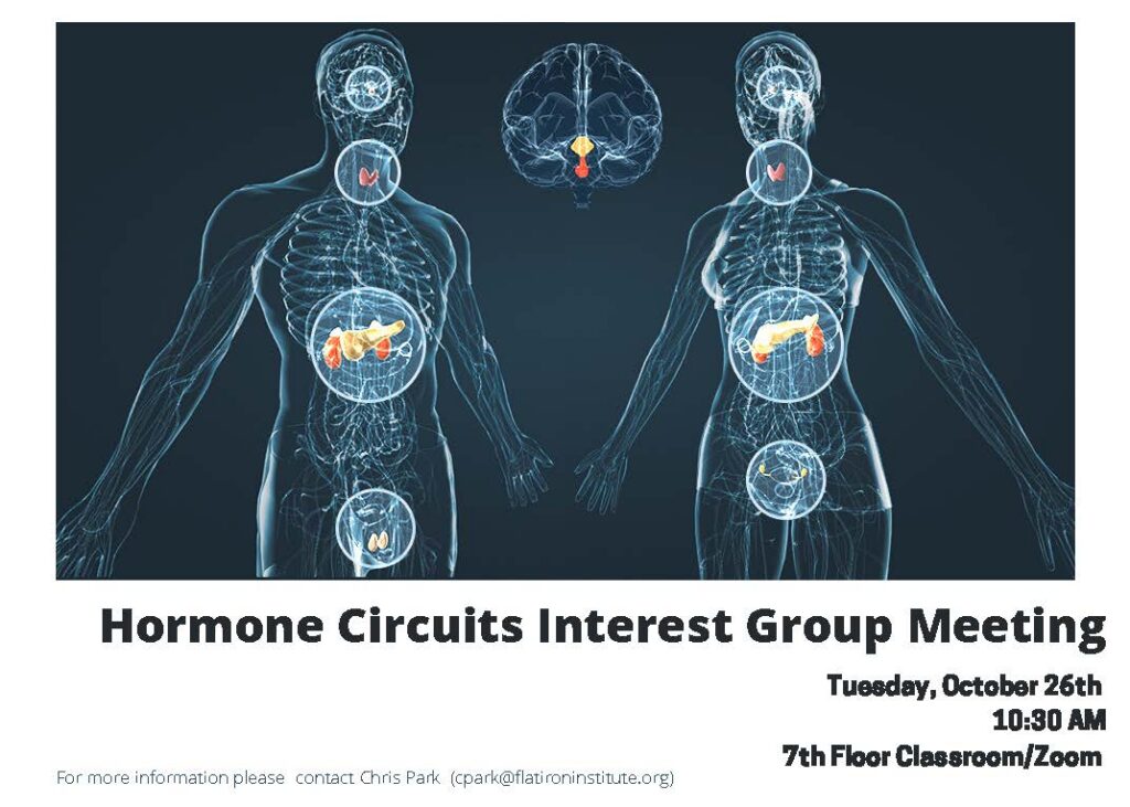 A flyer for Hormone Circuits Interest Group Meeting. The image used in the flyer is a depiction of a female and male human's endocrine system, with certain parts highlighted. Text under the name for the meeting reads 