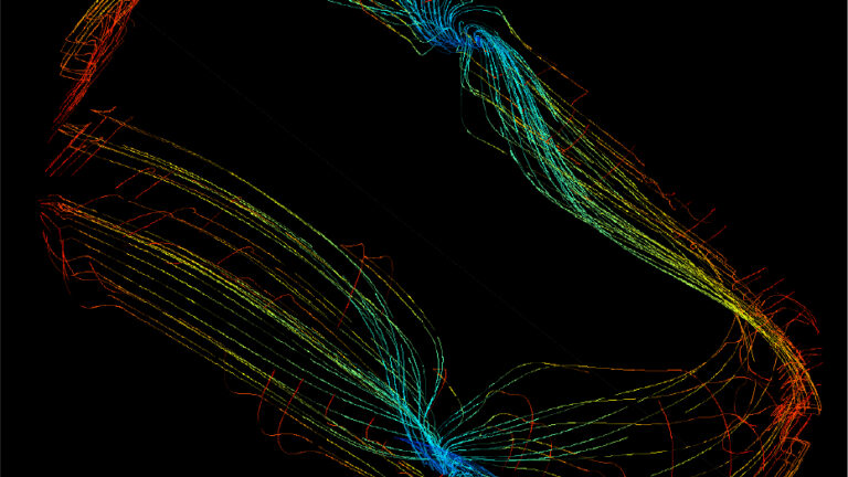 Computational image of brain and behavior