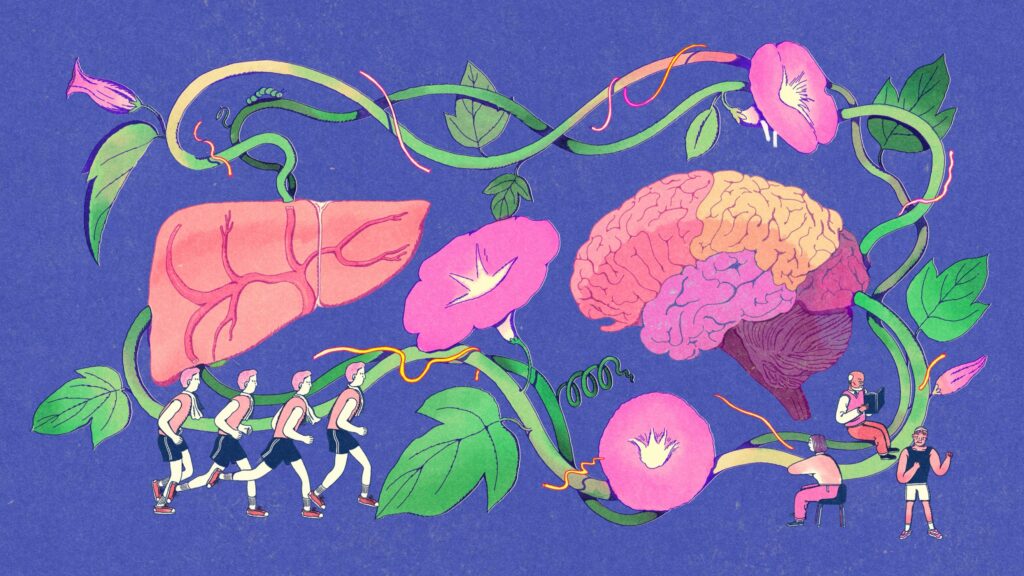 Illustration of a brain and liver connected by a healthy vine, with little people exercising and reading scattered throughout.