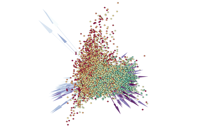 A multi-dimensional scatter plot with color coded points