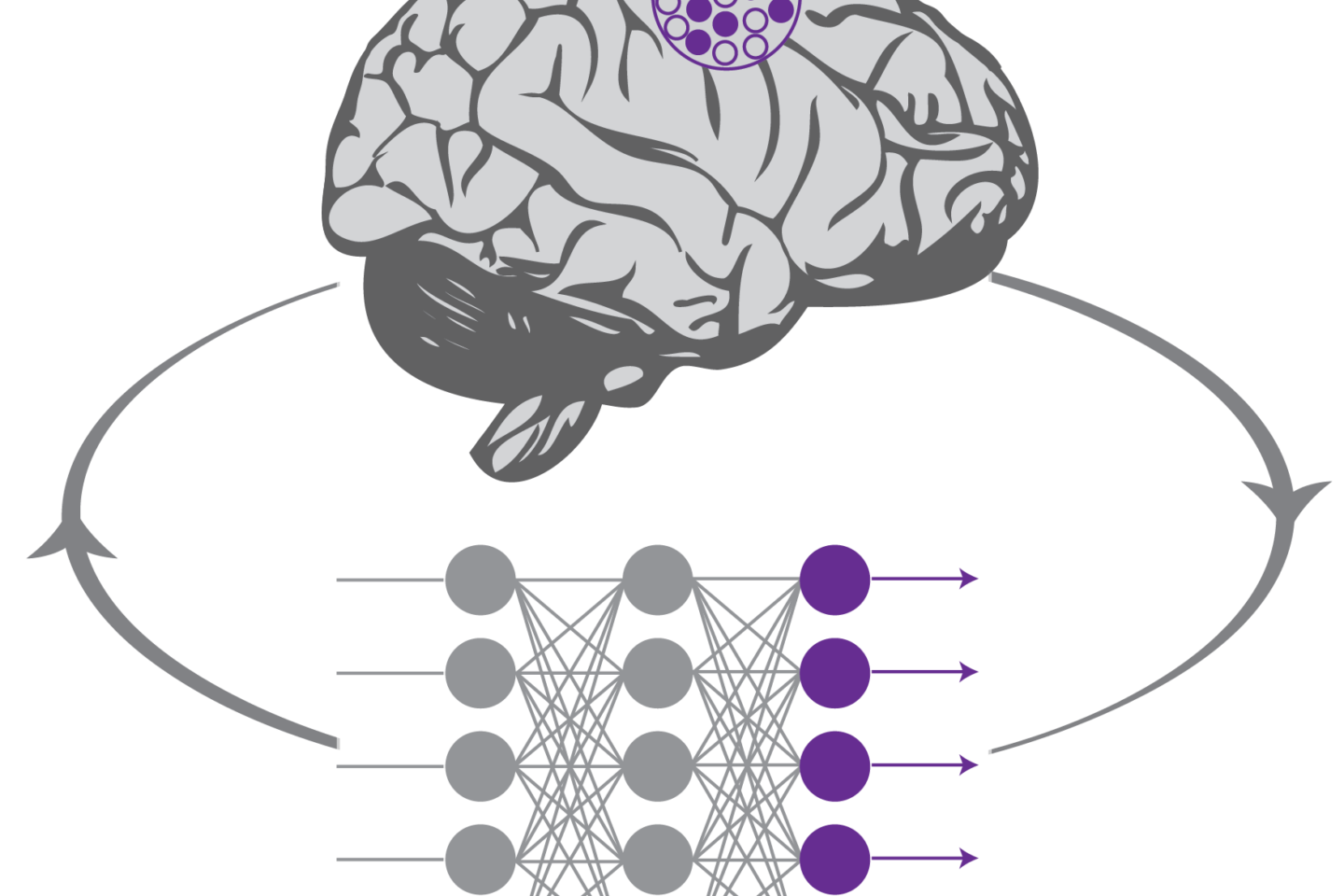 Grey and purple brain and dots