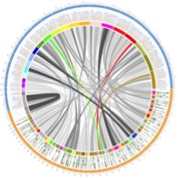Perspectives on dig data