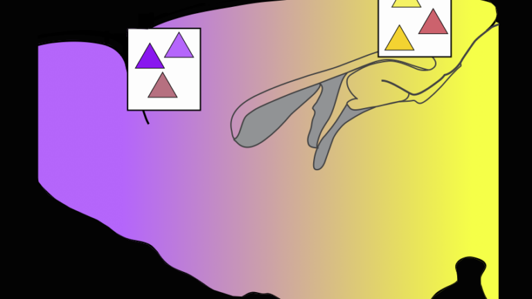 Purple to yellow gradient with triangles in white boxes