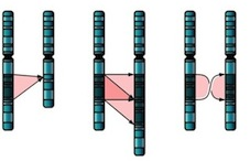 bioinformatics