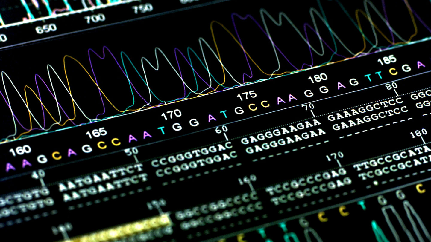 Colorful DNA sequencing graph with peaks representing nucleotide bases (A, T, C, G) and corresponding genetic code sequences displayed below on a black background.