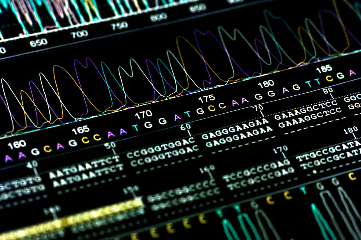 Colorful DNA sequencing graph with peaks representing nucleotide bases (A, T, C, G) and corresponding genetic code sequences displayed below on a black background.