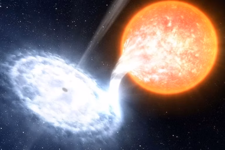 An illustration of a bright orange star being pulled toward a swirling white-and-blue disk, representing a black hole consuming material from the nearby star in space.