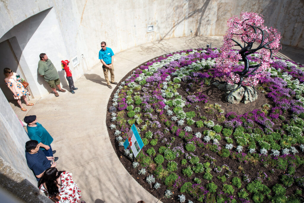Photo of a circular flowerbed viewed from above.