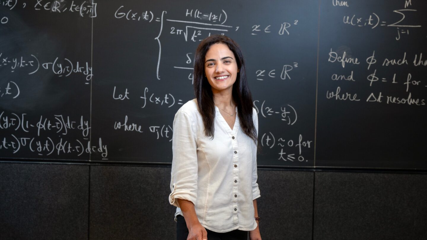A photo of Nour Al Hassanieh standing in front of a chalkboard.