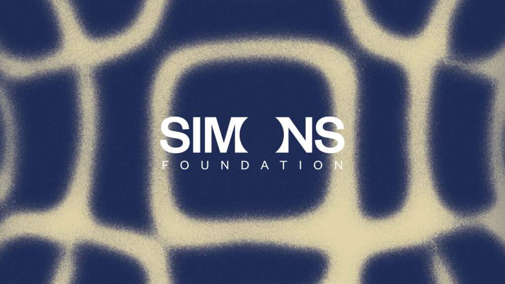 Simons Foundation logo over a dark blue background with an abstract, light-colored grid pattern.