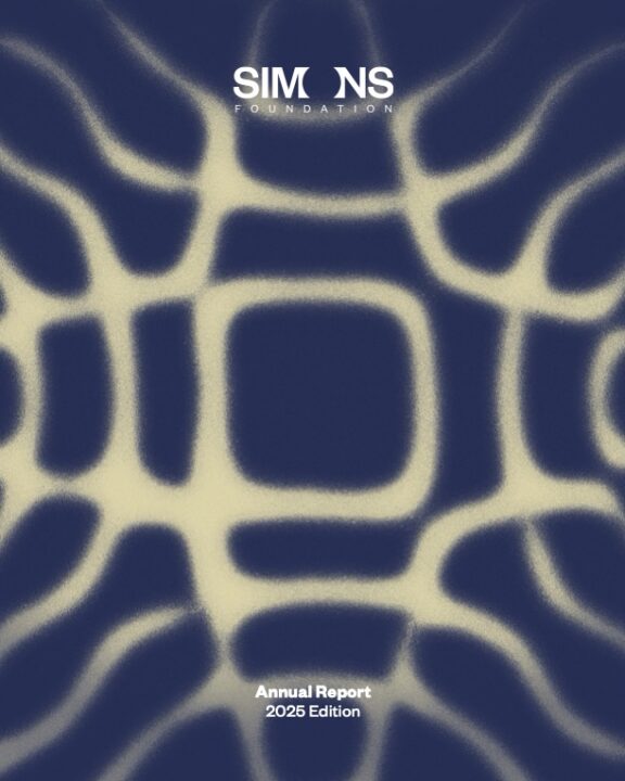 Abstract navy and cream pattern with the Simons Foundation logo at the top. Text at the bottom reads Annual Report 2026 Edition..