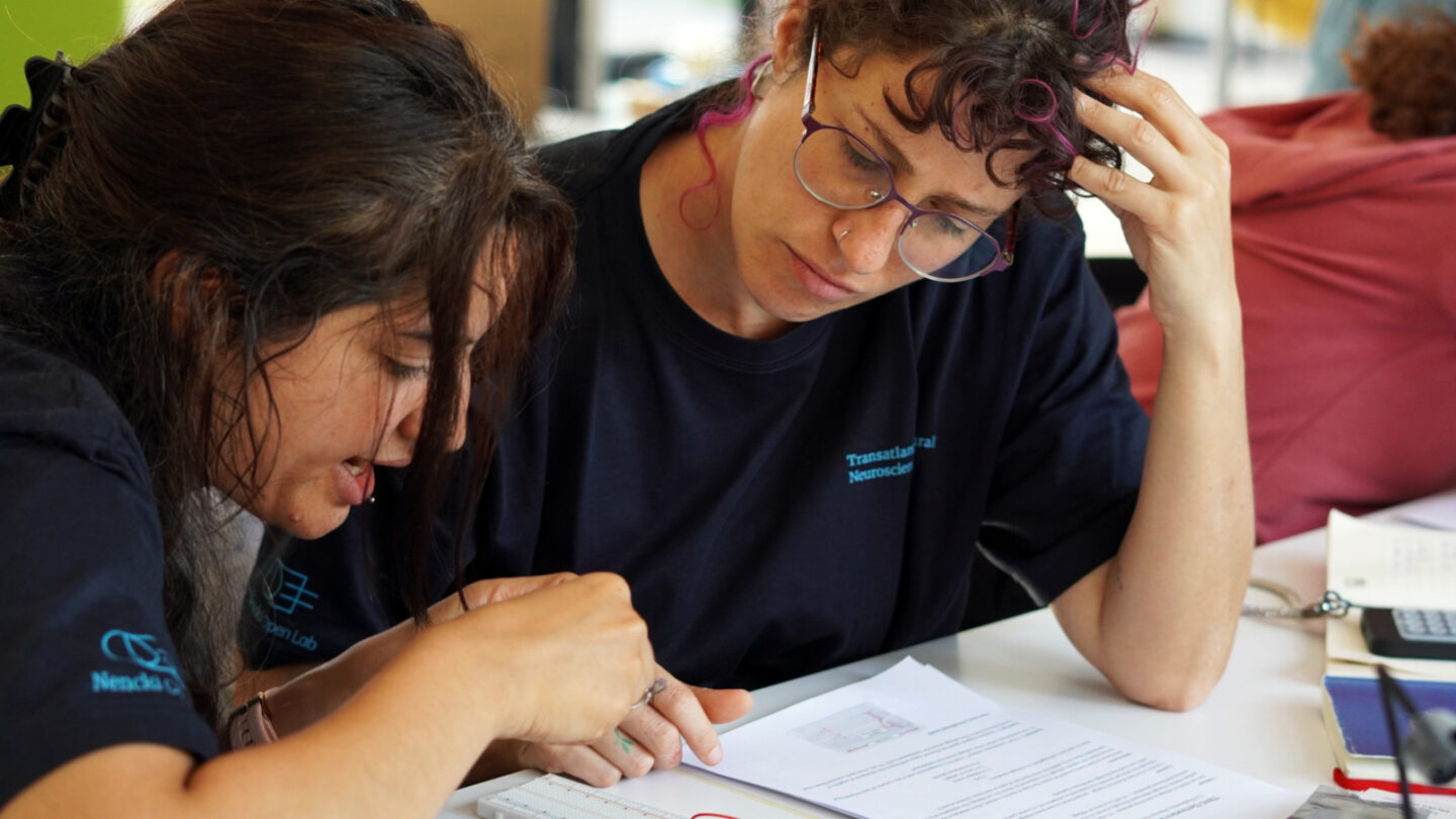 Two students studying a text book.