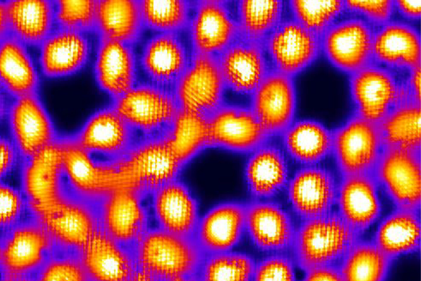 A microscopic image shows clusters of bright yellow and orange oval shapes on a dark purple and black background, resembling glowing cells or particles scattered irregularly.