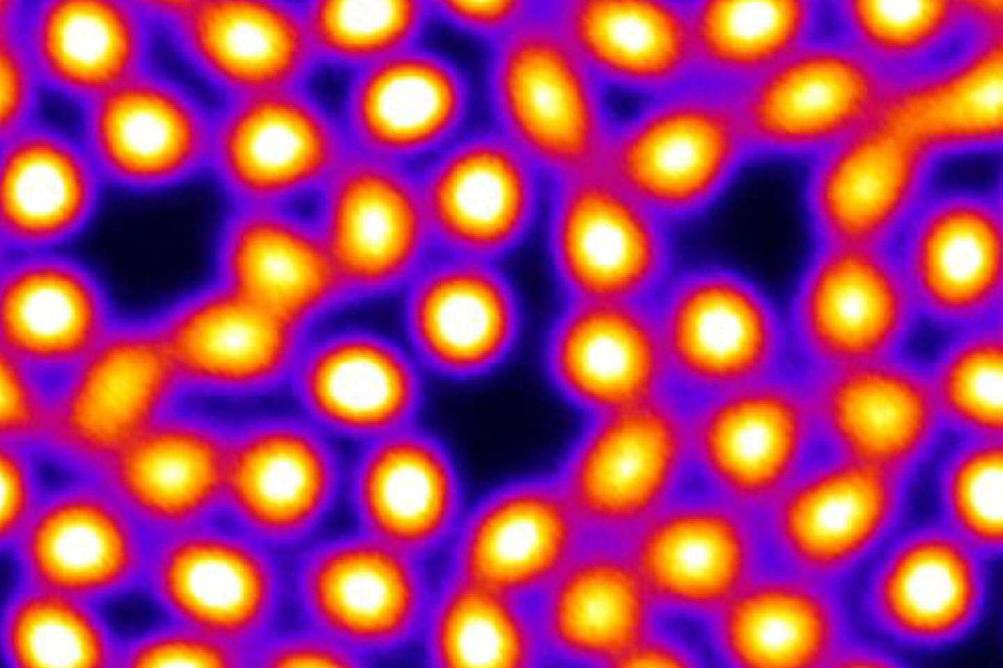 A microscopic image showing clusters of bright yellow and white dots surrounded by purple and blue, indicating regions of high and low intensity.